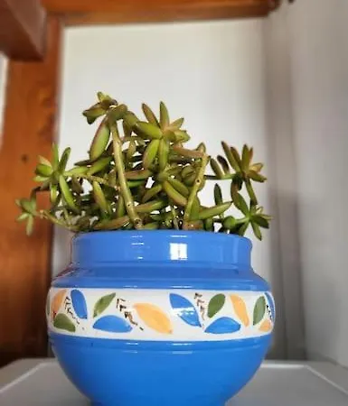 Vintage & Deluxe アパート