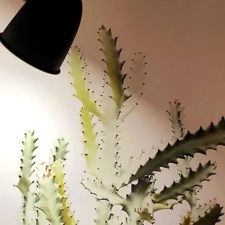 Vintage & Deluxe Lejlighed Puerto del Rosario (Fuerteventura)