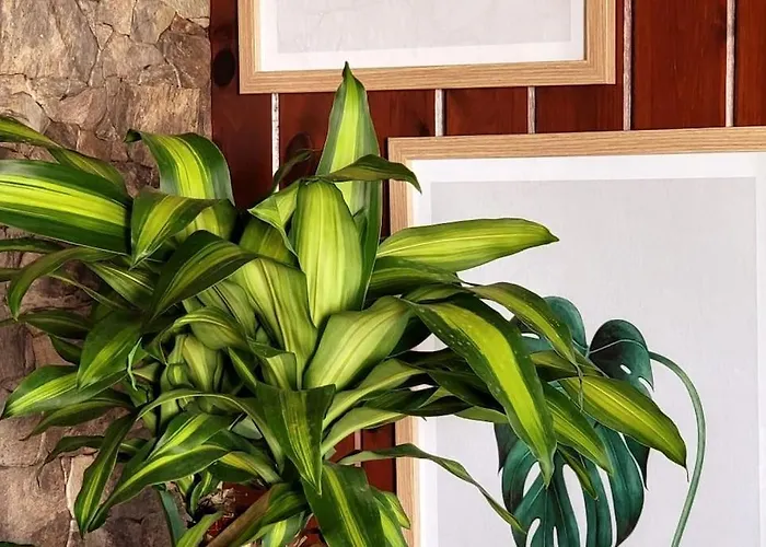 Lägenhet Vintage & Deluxe