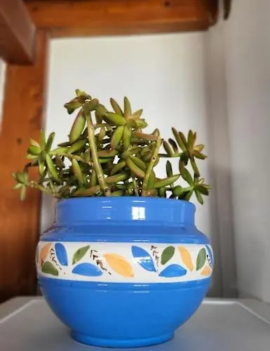 Vintage & Deluxe Lägenhet