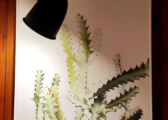 Vintage & Deluxe Lägenhet Puerto del Rosario (Fuerteventura)